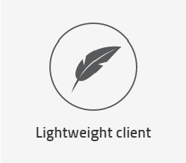 lightweight client